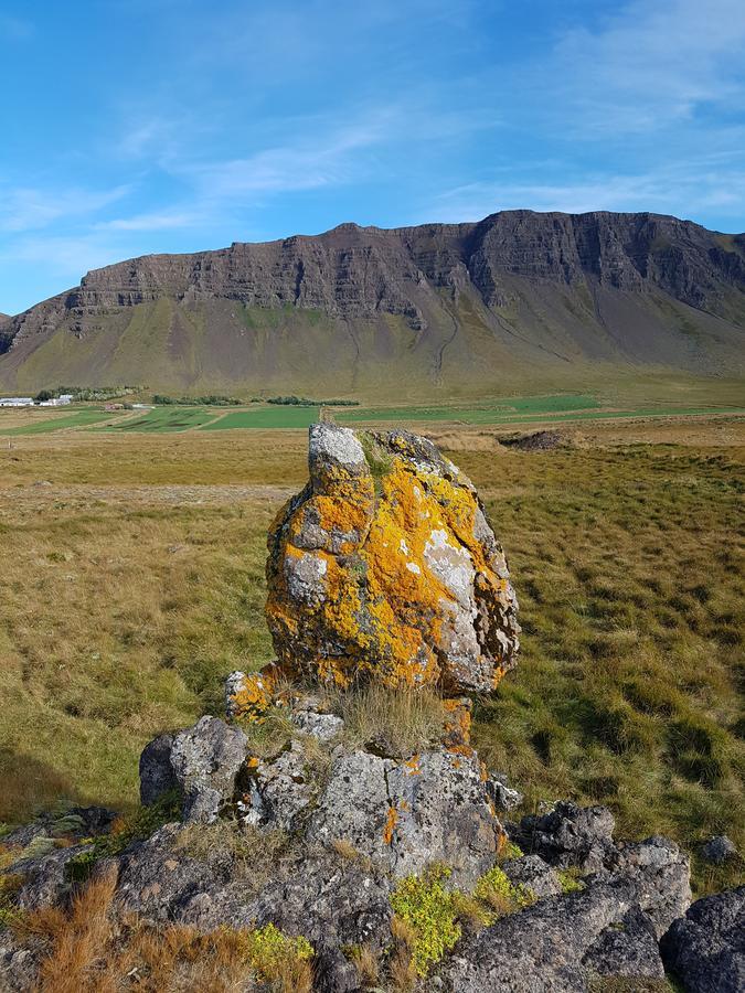 Miðjanes Reykhólahrepp Guest House Reykholar Bagian luar foto