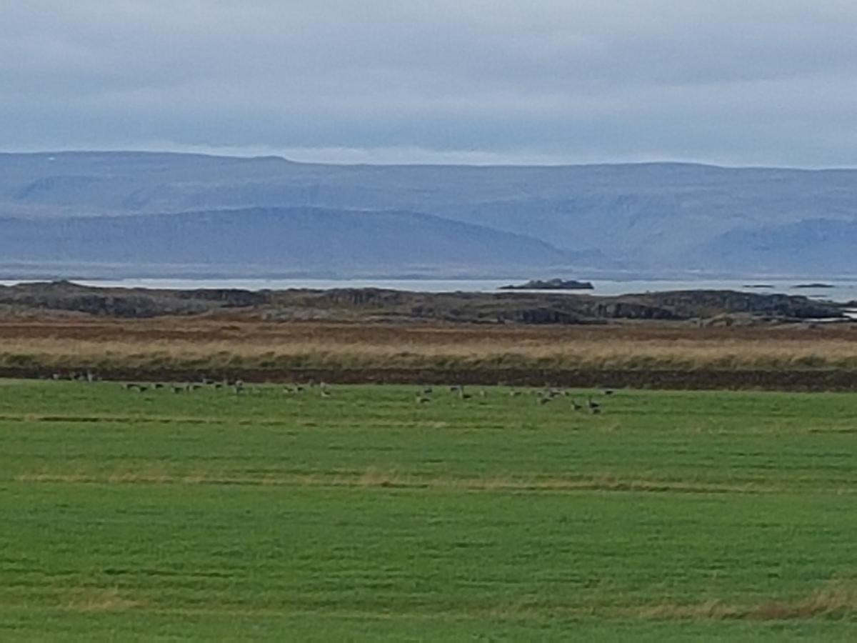 Miðjanes Reykhólahrepp Guest House Reykholar Bagian luar foto