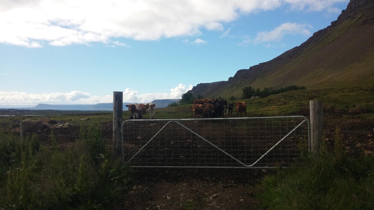 Miðjanes Reykhólahrepp Guest House Reykholar Bagian luar foto